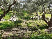 Plaka Chania Grundstück mit Meerblick an seltener Stelle – im Dorf Plaka Grundstück kaufen